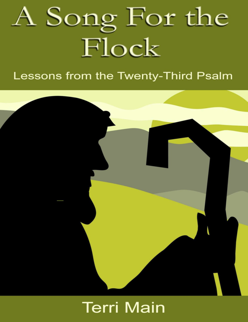 Bible study psalm 23